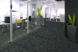 Thảm Paragon